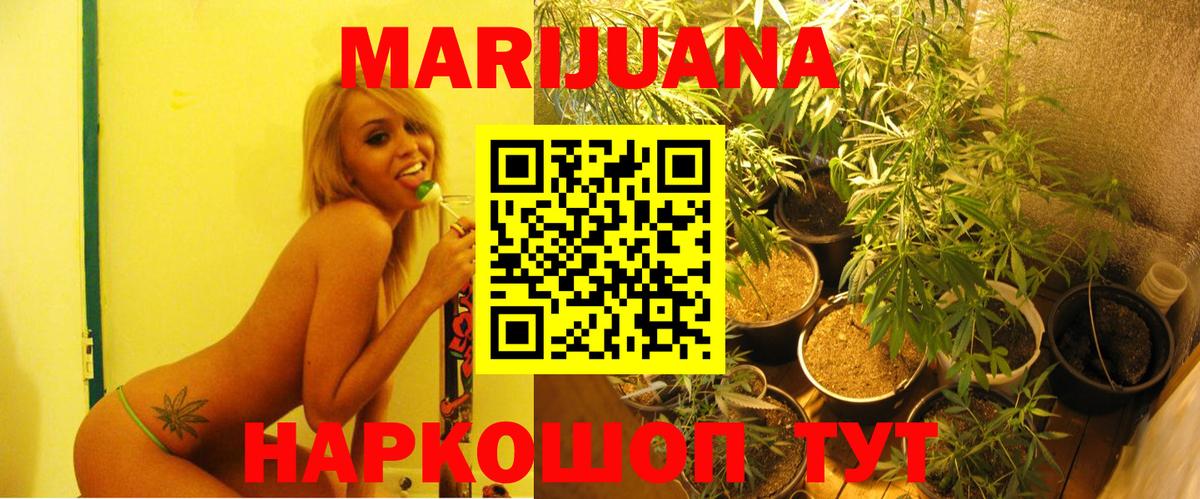 Канабис семена Борзя